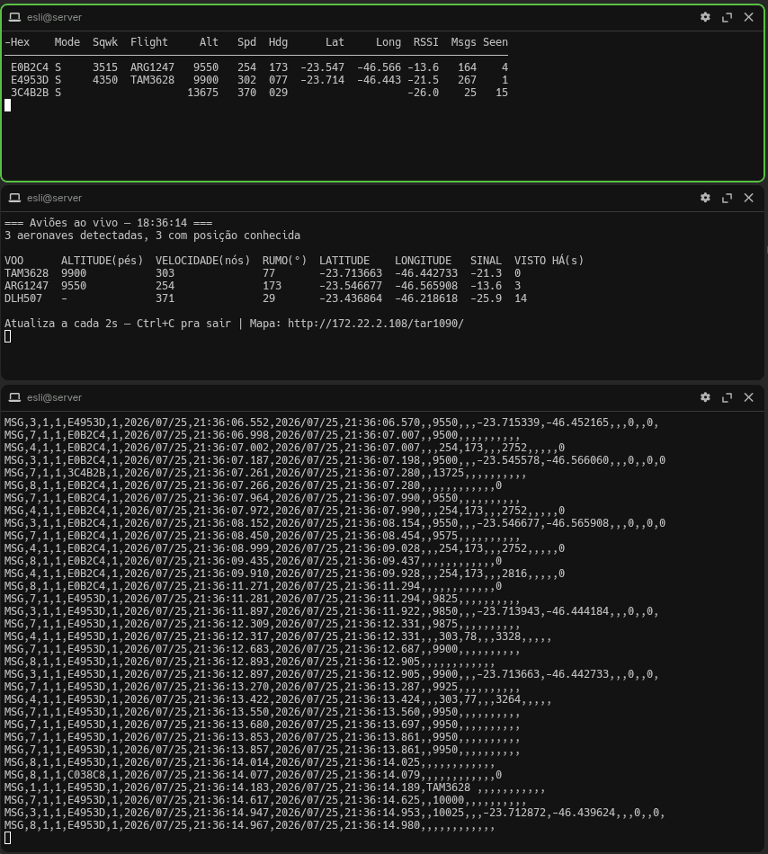Três terminais no servidor: viewadsb com a tabela técnica no topo, o radar-simples.sh com colunas em português no meio e o stream SBS bruto via nc embaixo